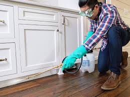 Best Residential Pest Control  in Orange Cove, CA